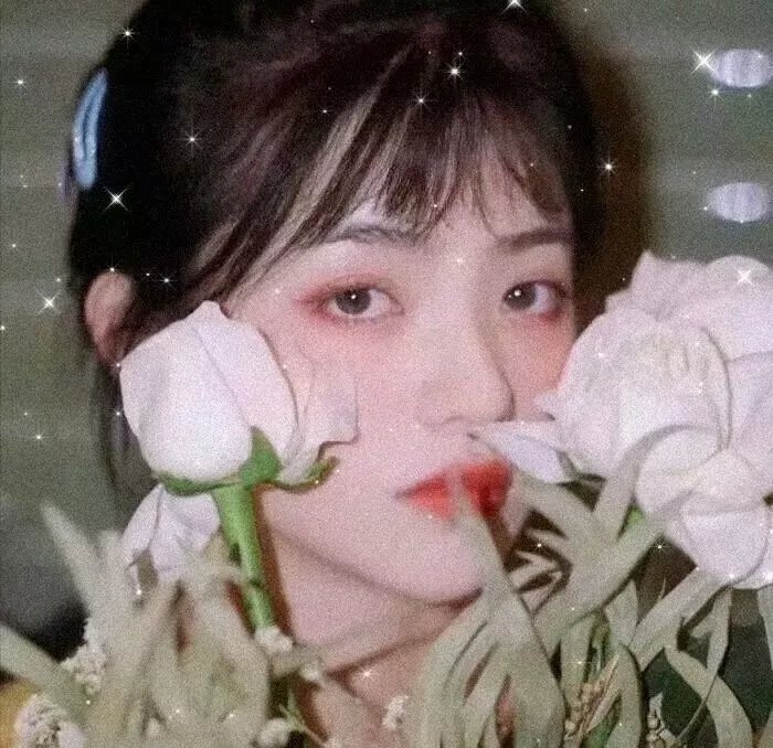 女士优先